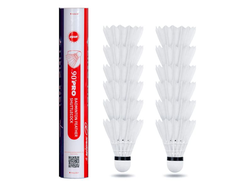 ريشة الريشة الريشة